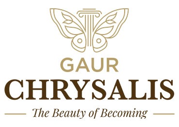 Gaur Chrysalis